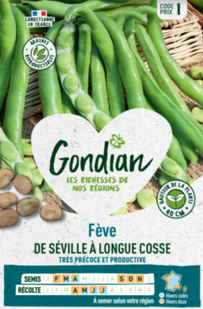 Fève de Séville à Longue Cosse - GONDIAN