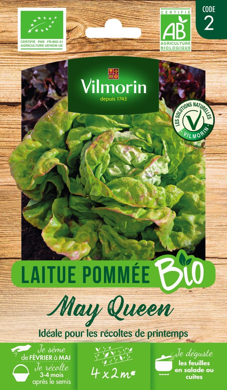 Graines Laitue Pommée May Queen Bio - VILMORIN