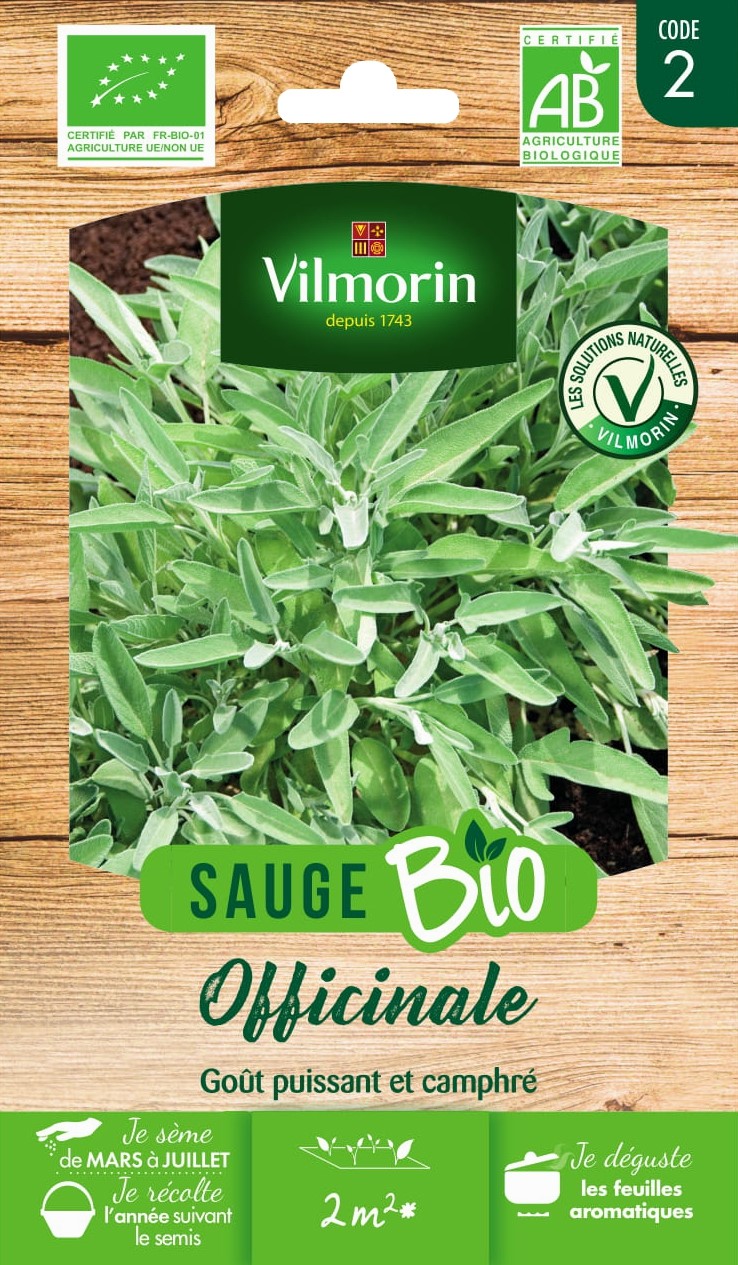 Graines Sauge Officinale Bio - VILMORIN