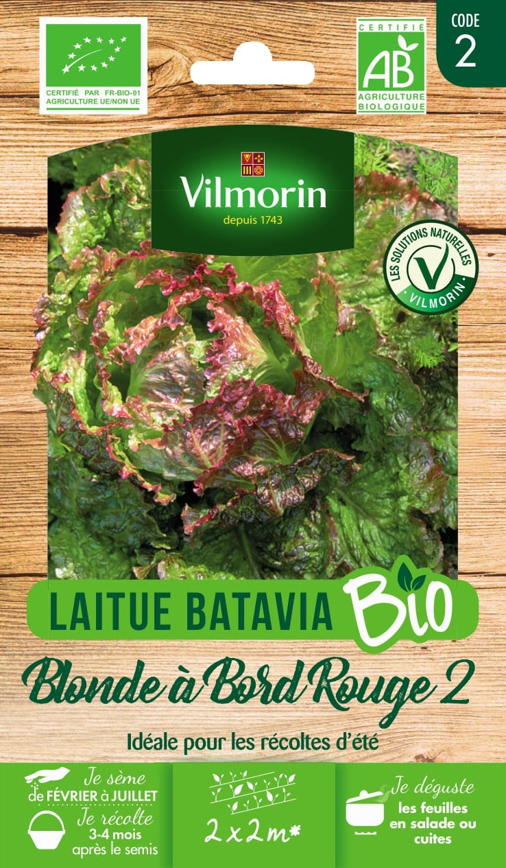 Graines Laitue Batavia Blonde à Bord Rouge 2 Bio - VILMORIN