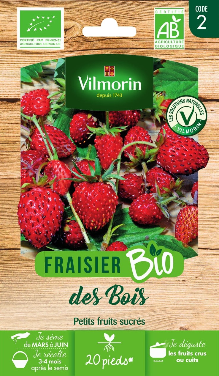 Graines Fraisier des Bois Bio - VILMORIN