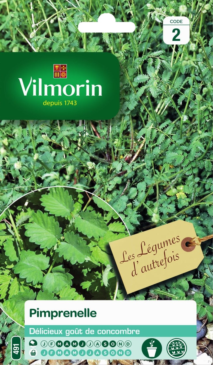 Graines Pimprenelle - VILMORIN