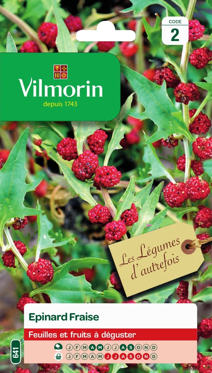 Graines Epinard Fraise - VILMORIN