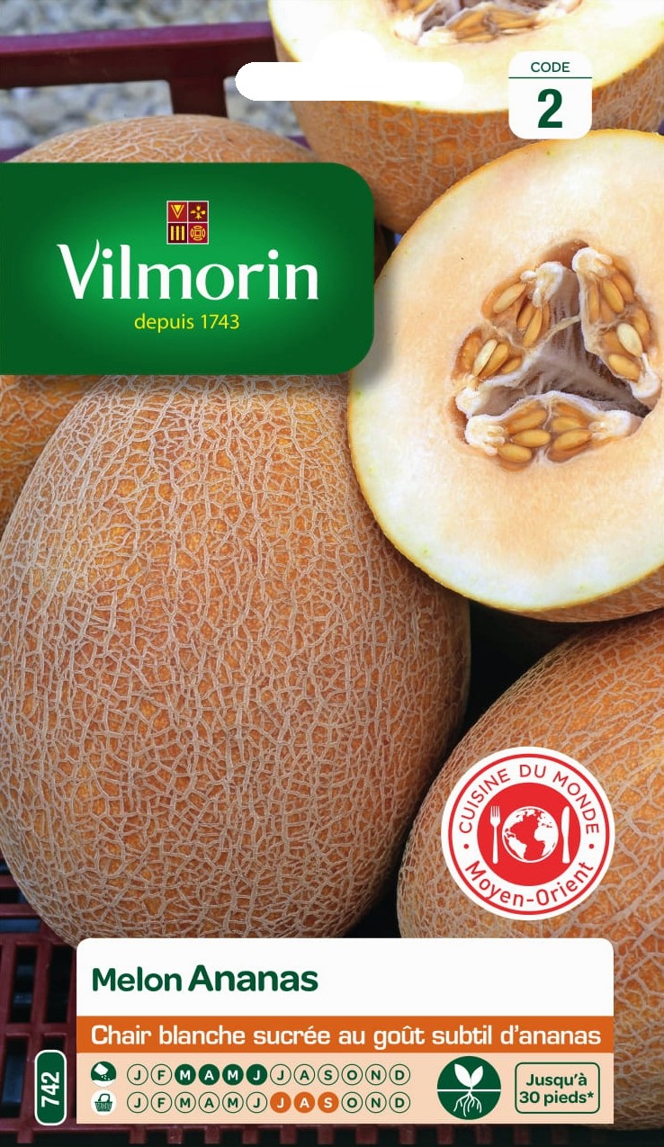 Graines Melon Ananas - VILMORIN