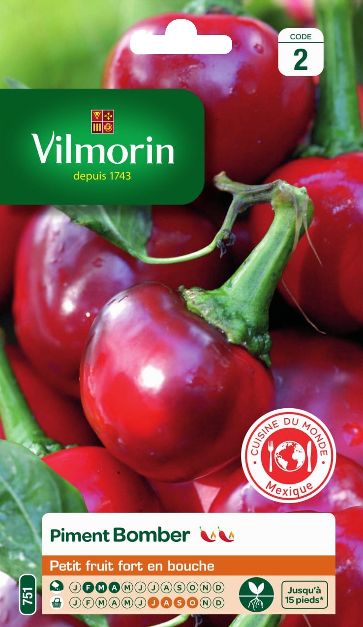 Graines Piment Bomber HF1 - VILMORIN