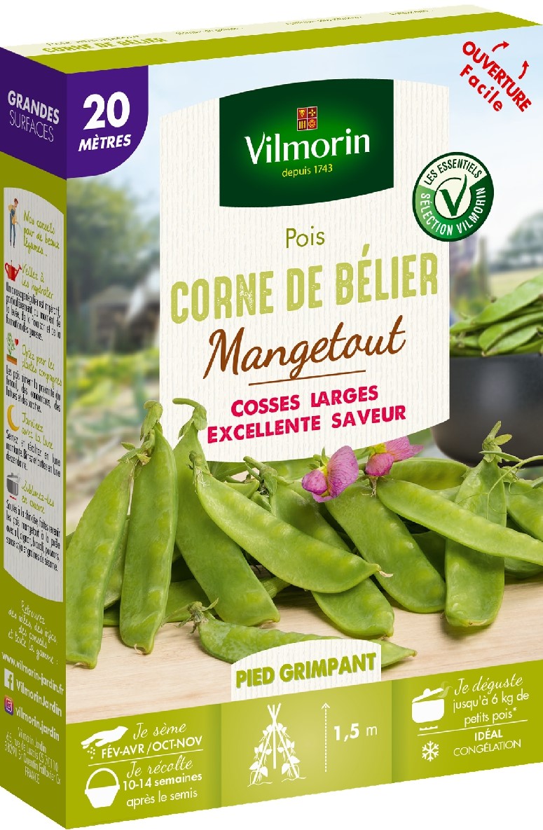 Graines Pois Mangetout Corne de Bélier 20m - VILMORIN