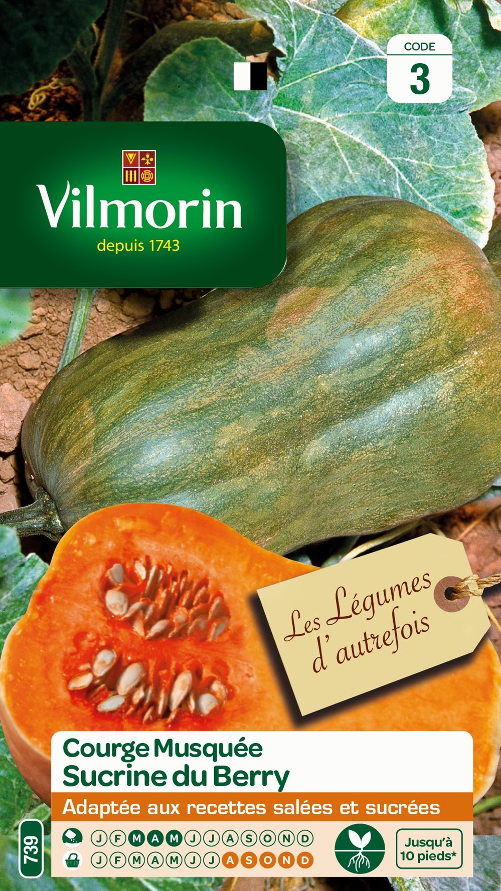 Graines Courge Musquée Sucrine du Berry - VILMORIN