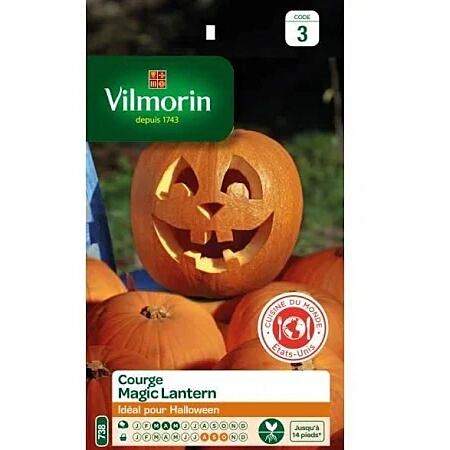 Graines Courge Magic Lantern HF1 - VILMORIN