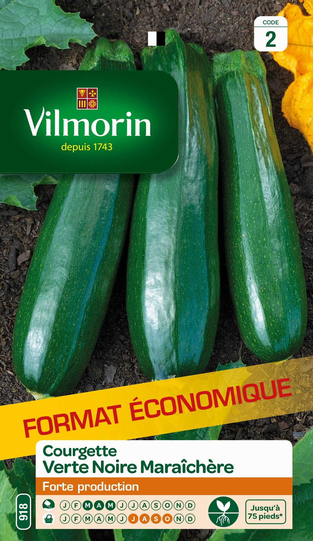 Graines Courgette Précoce Maraîchère Grand Format - VILMORIN