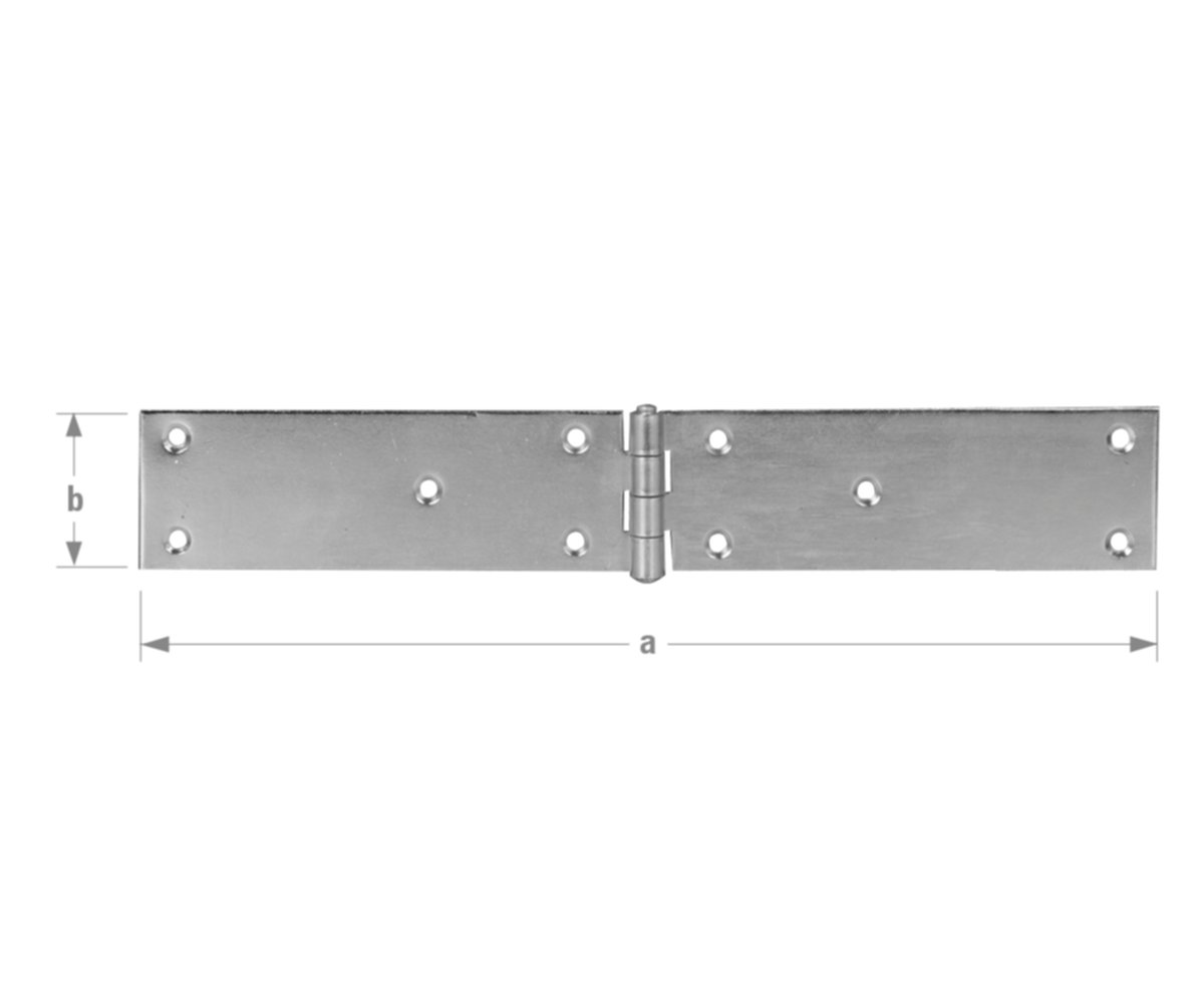 Charnière à congé 30 x 200 mm acier zingué - CQFD