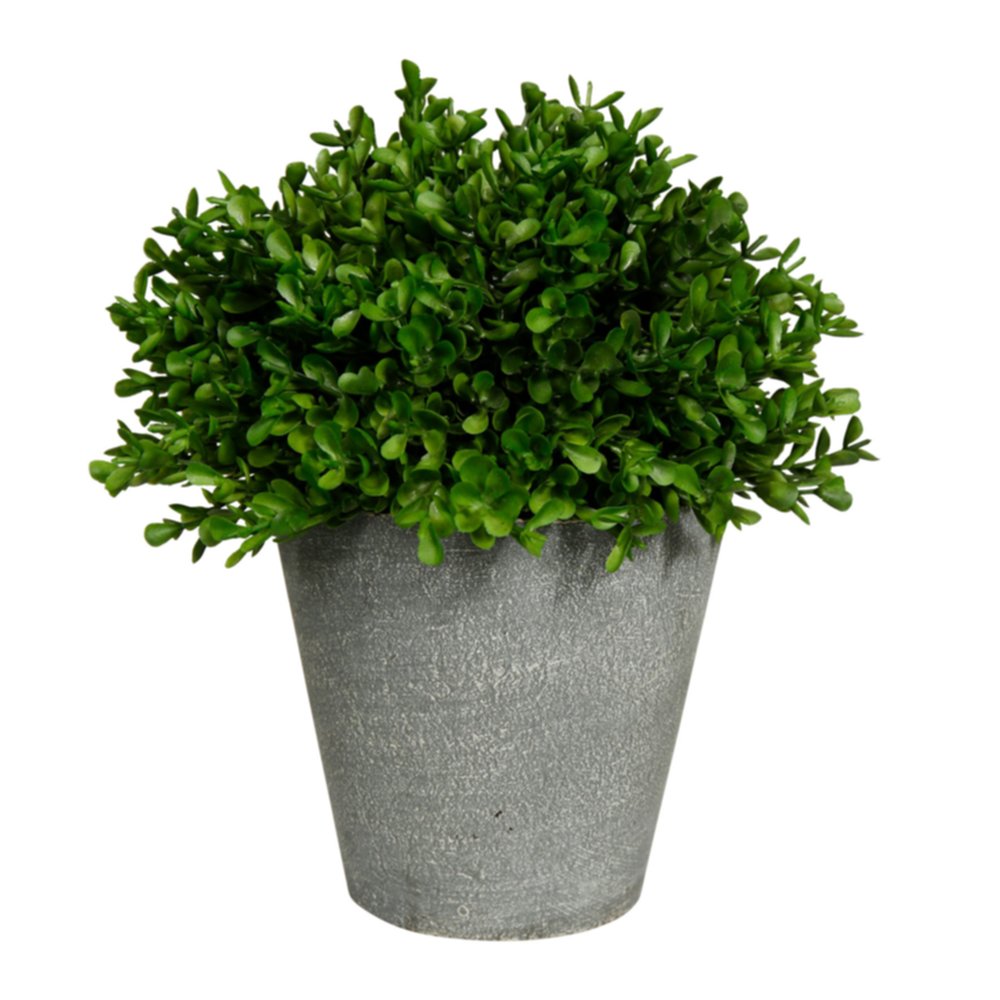 Plante artificielle buis vert Ø12 x H 21 cm - OSTARIA