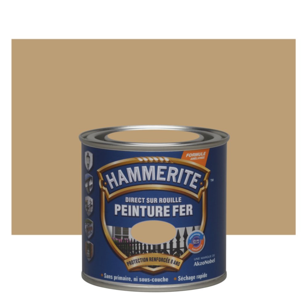 Peinture fer direct sur rouille martelé cuivre 0,25L - HAMMERITE