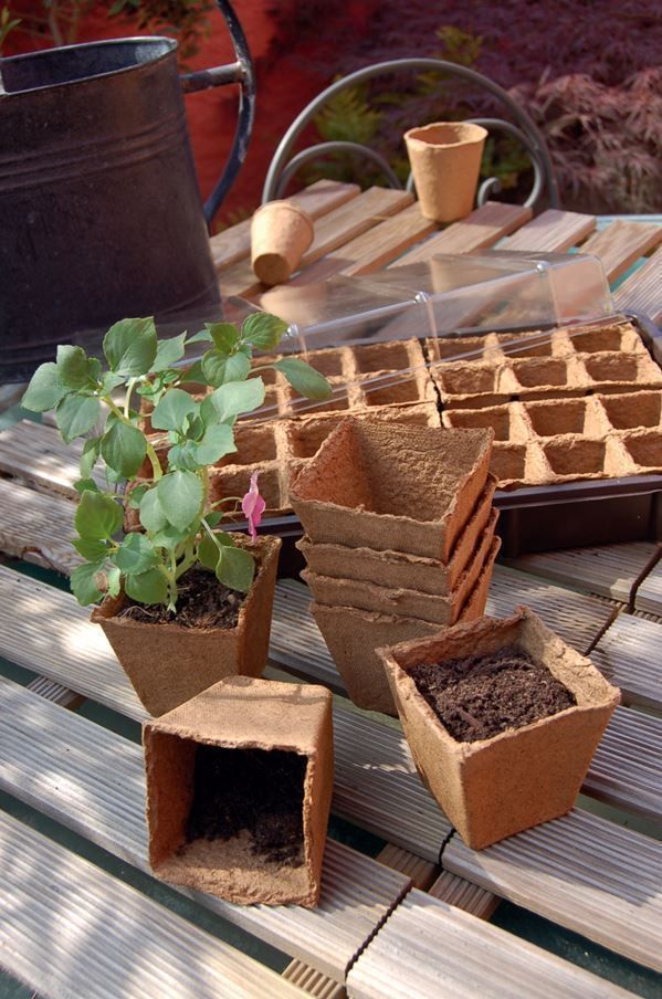 20 pots carrés 100% biodégradables marron 6x6cm