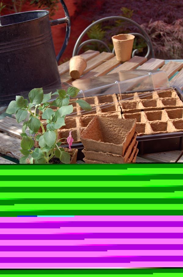 14 pots carrés 100% biodégradables marron 8x8cm