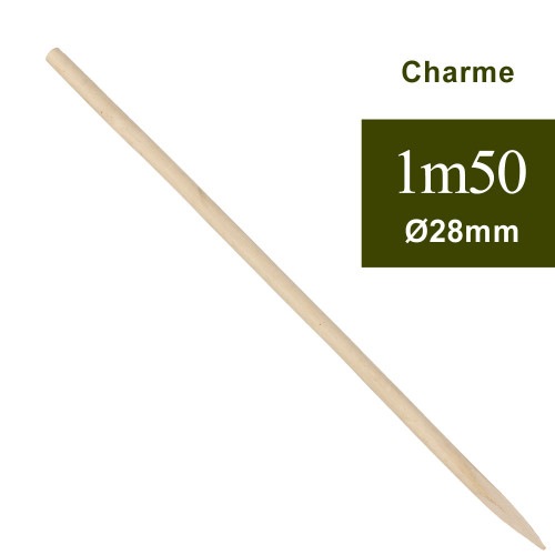 Piquet tuteur charme hauteur 150 cm ø 28 mm