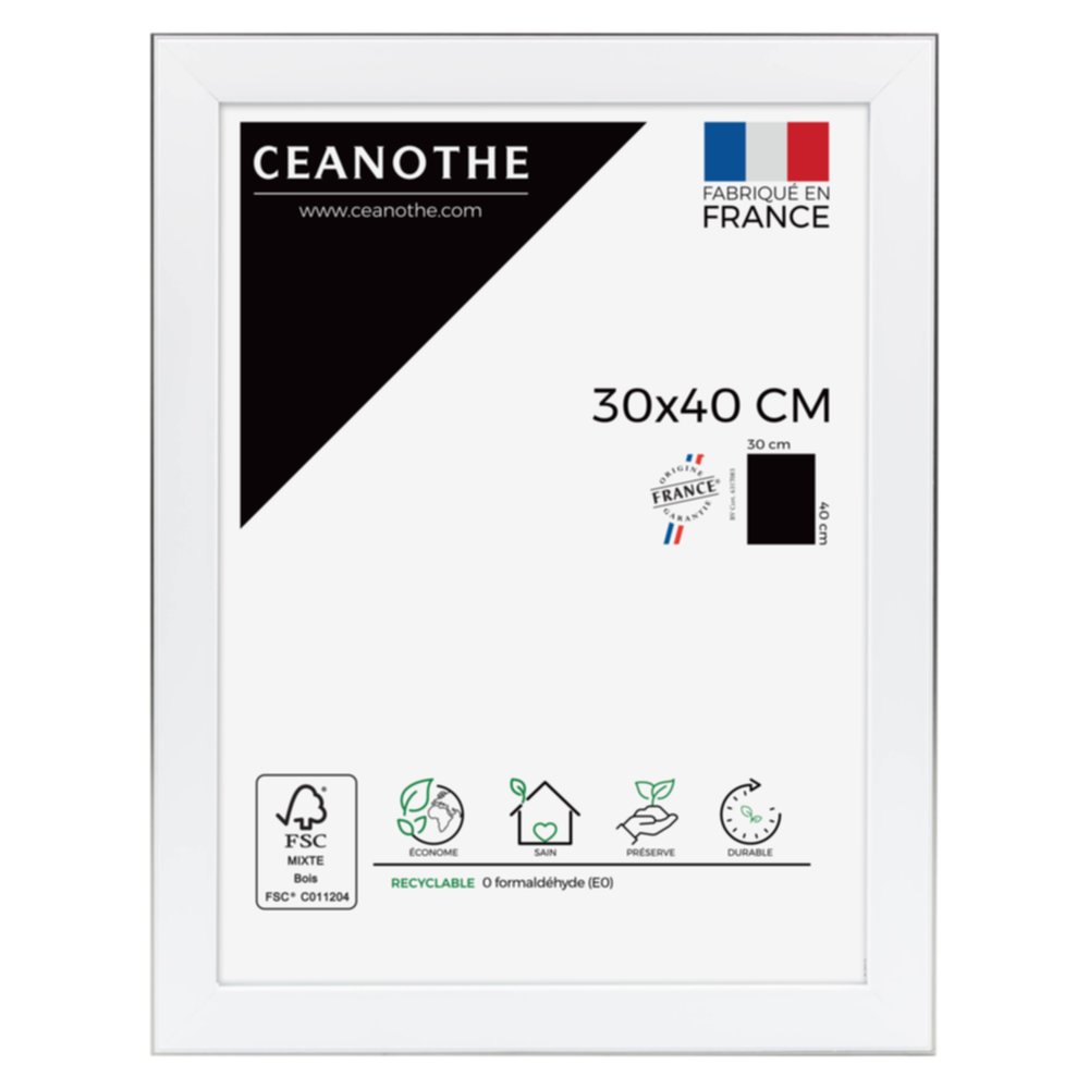 Cadre photo Newton acier 30x40cm - CEANOTHE