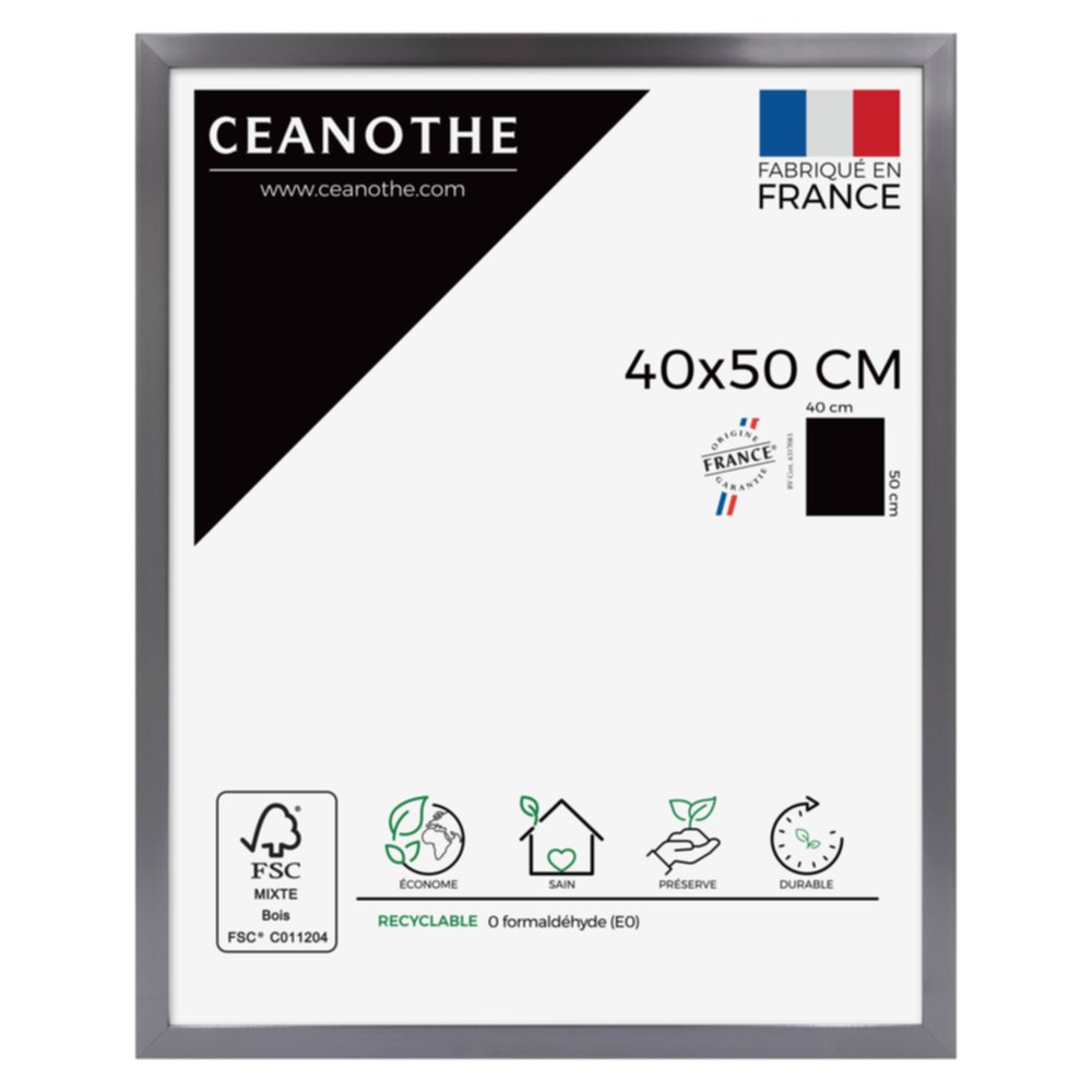 Cadre photo Precious carbone 40x50cm - CEANOTHE