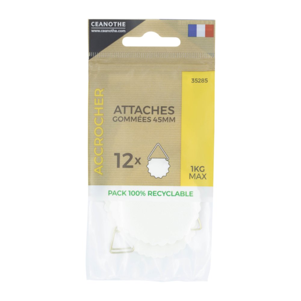 Sachet 12 attaches gommées 45mm - CEANOTHE