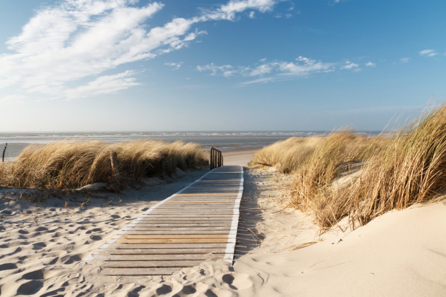 Tableau sur toile direction plage 45x65cm 