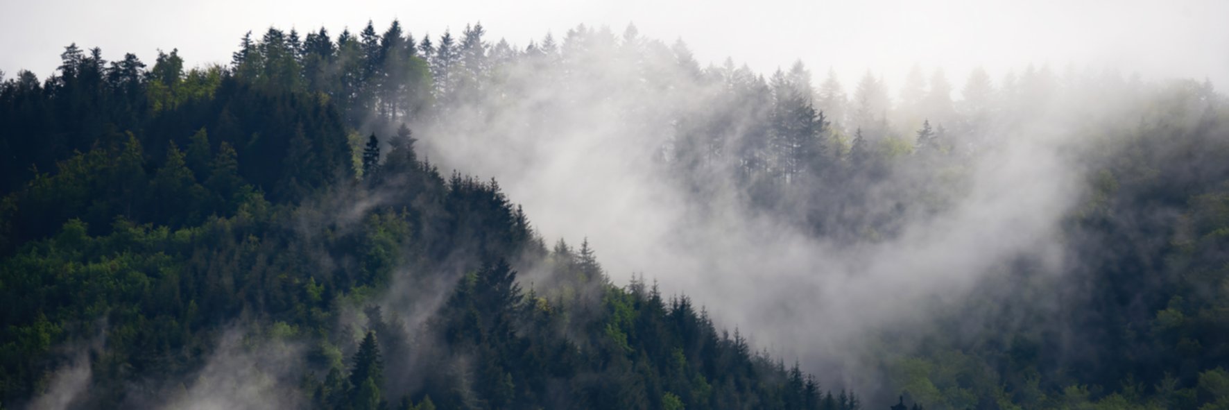 Tableau sur toile brume naturelle 30x97cm 