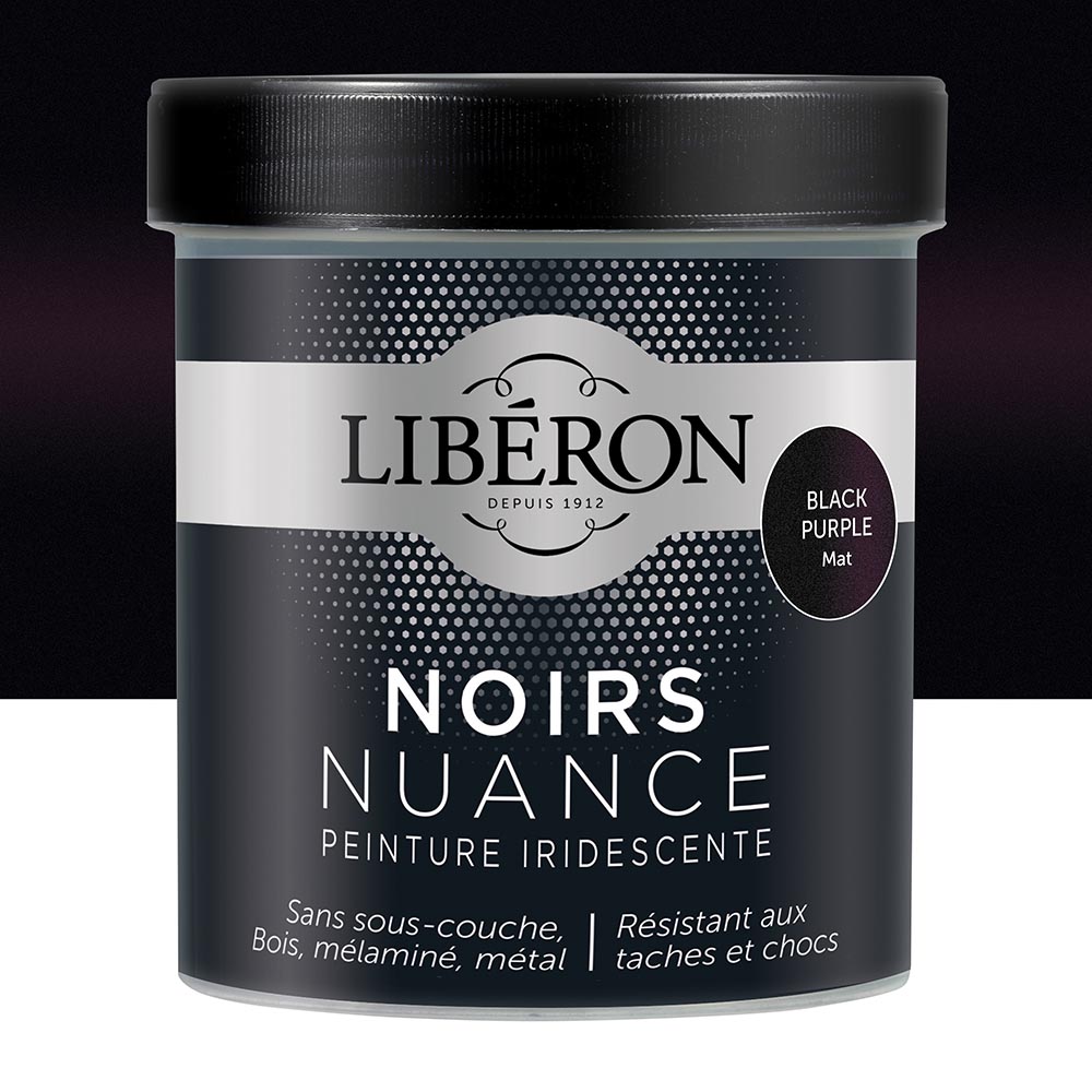 PEINTURE NOIRS NUANCE MAT BLACK PURPLE 0.5l