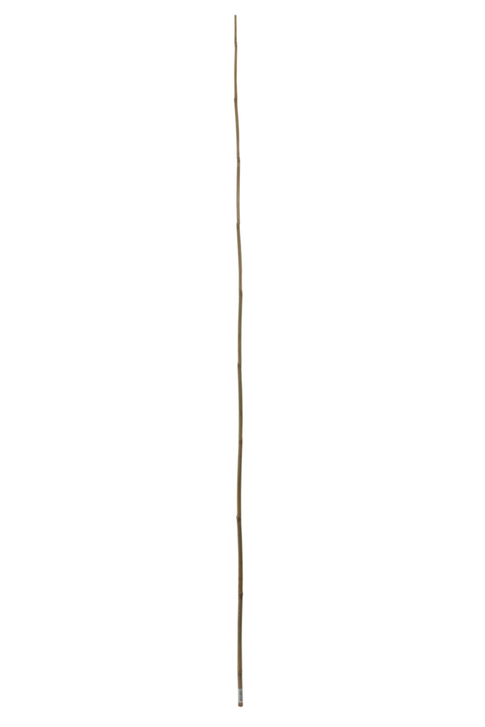 Tuteur bambou 2,1 m - IDEAL GARDEN