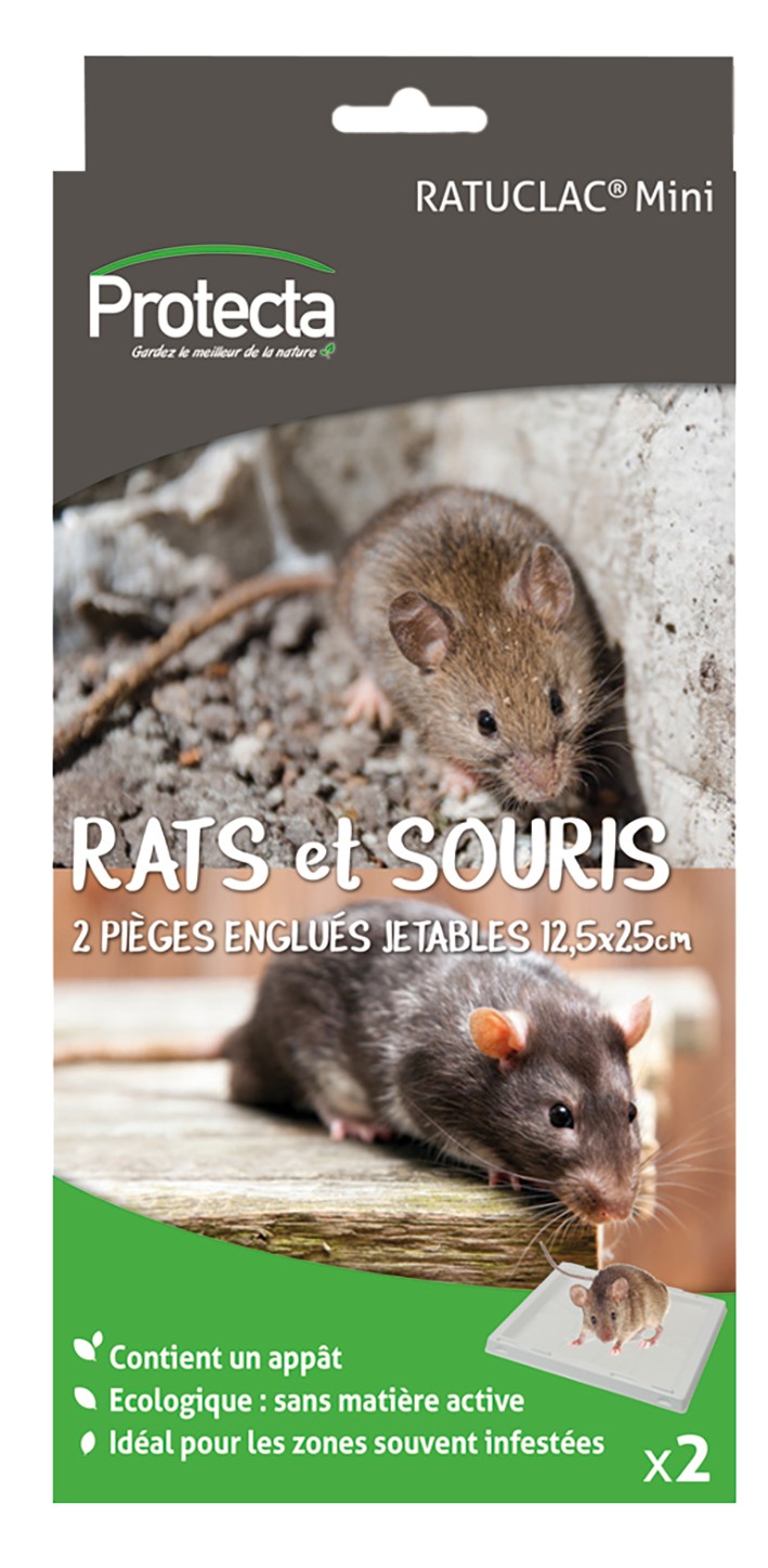 Pièges englués anti-rats x2 - PROTECTA