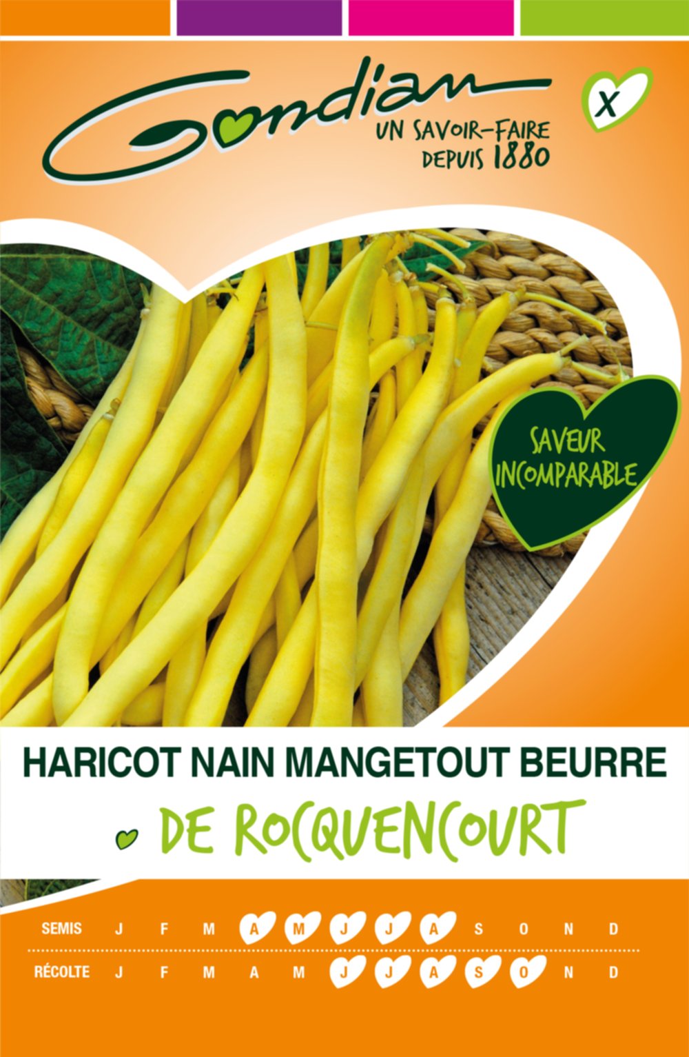 Haricot Rocquencourt - nain filet sans fil Gondian