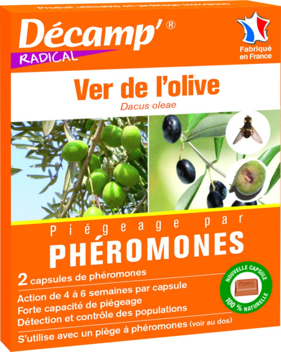 Ver de l'olive dacus olae - 2 caps decamp