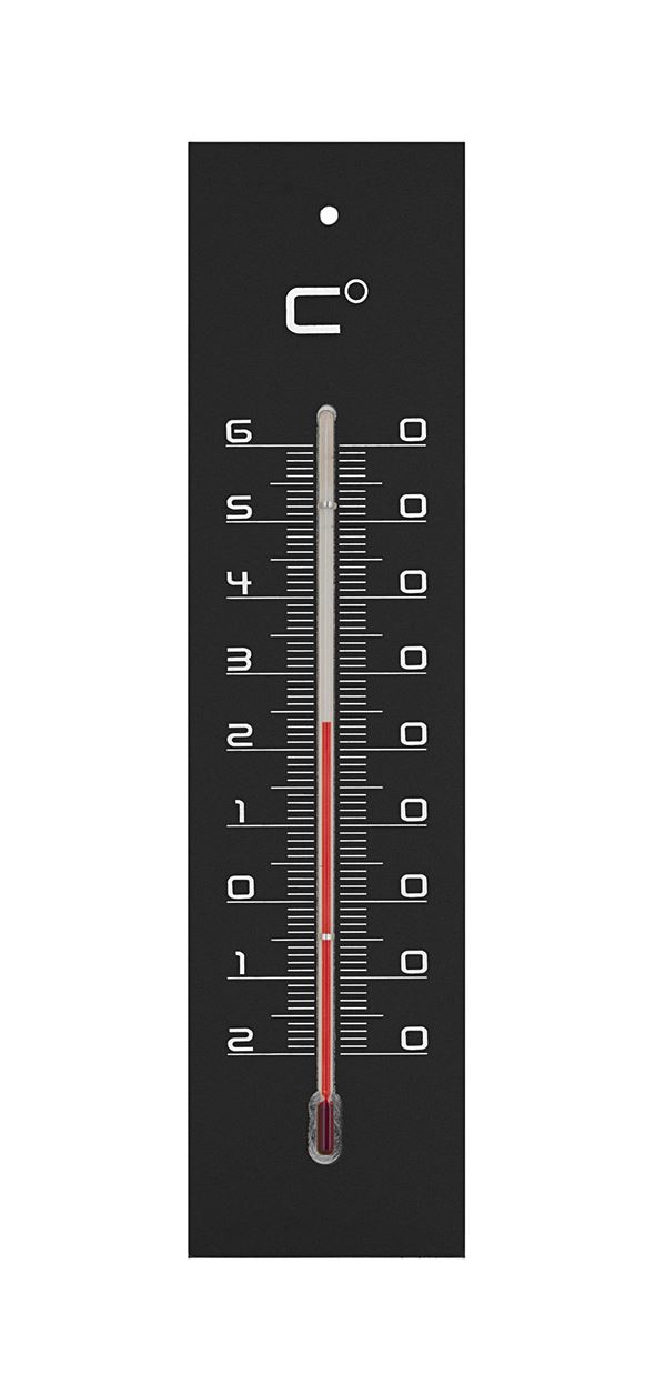 Thermomètre 40007 medium 22cm