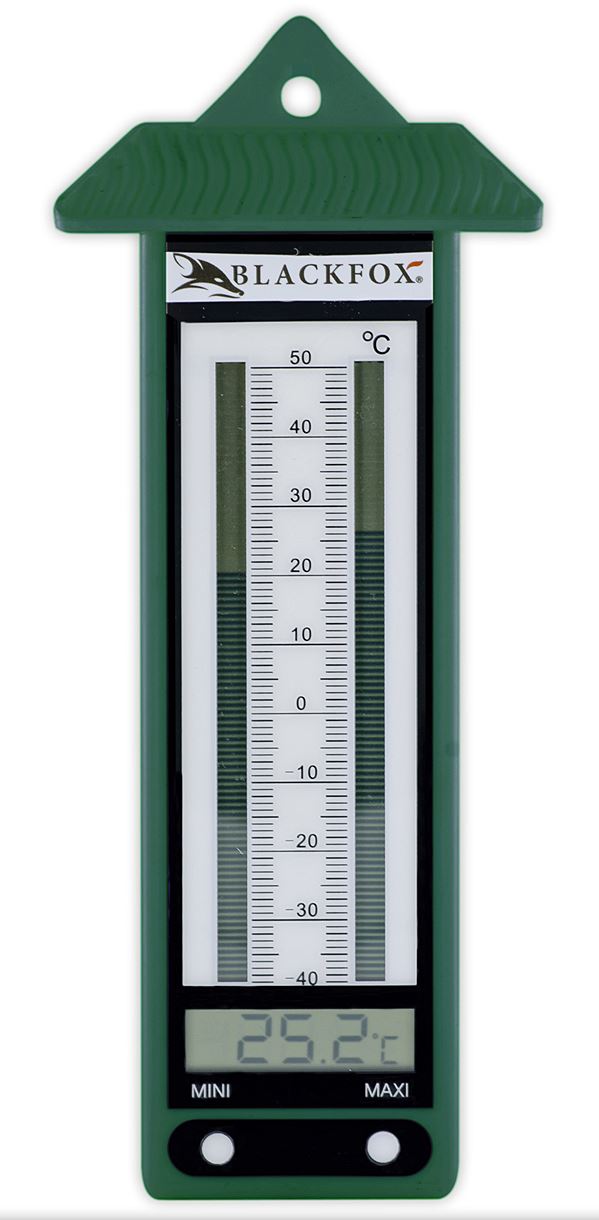 Thermomètre électronique vert - BLACKFOX