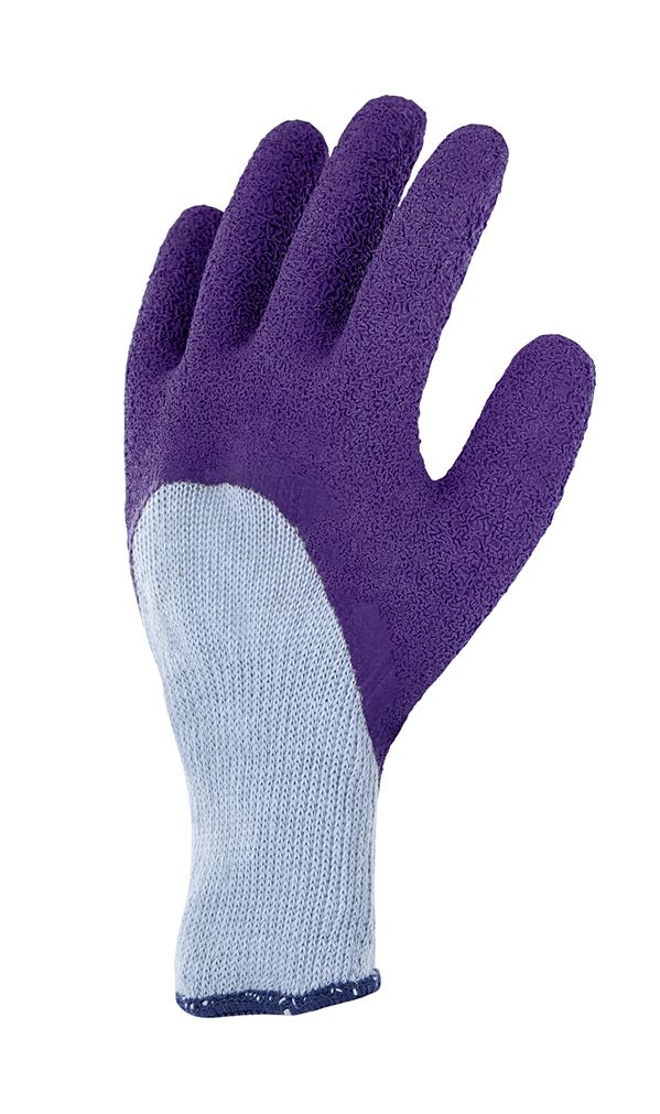 Gant rosier 6 violet