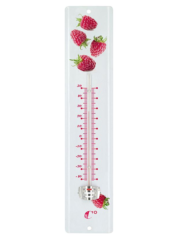 Thermomètre décor framboise 30cm - BLACKFOX