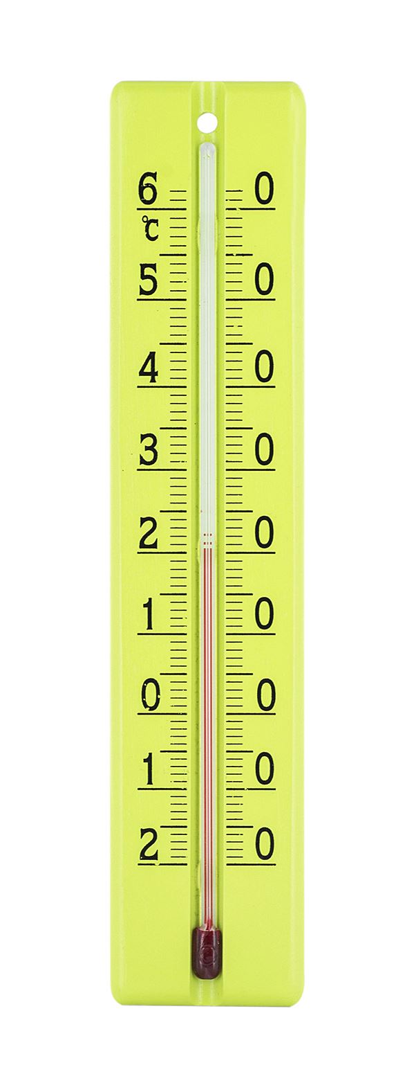 Thermomètre hetre 22cm anis