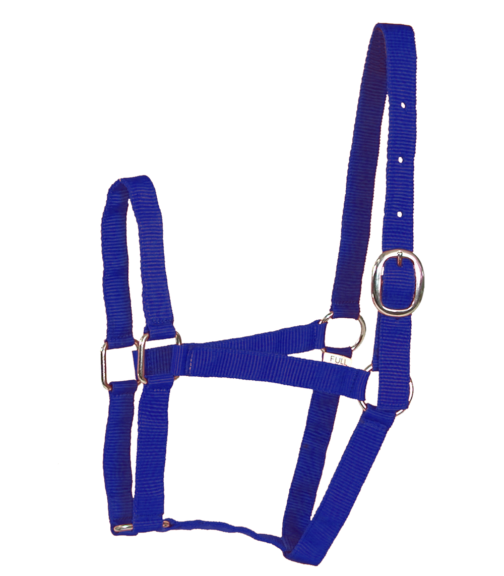 Licol Éco Double Poney Navy