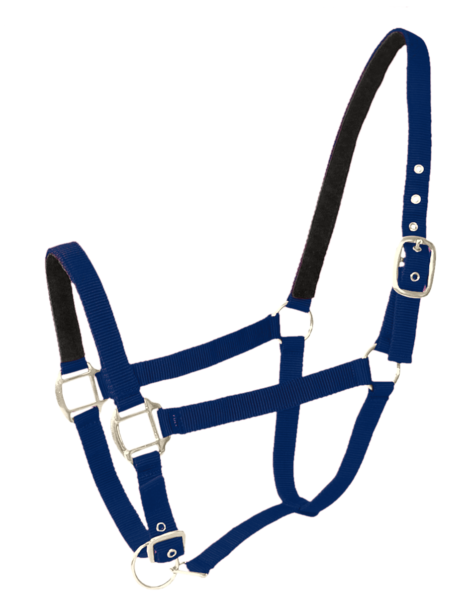 Licol Doublé Cuir Poney Navy