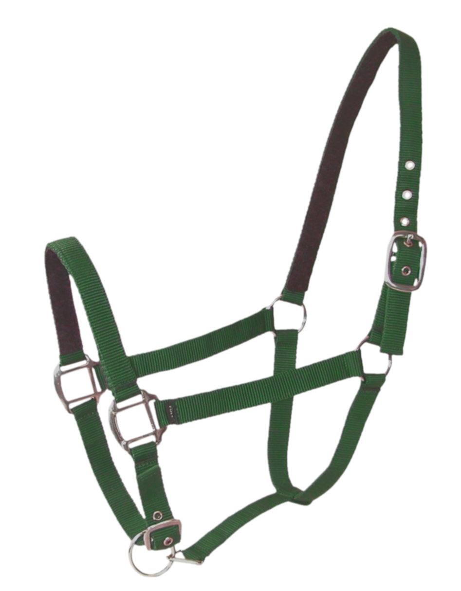 Licol Doublé Cuir Poney Vert