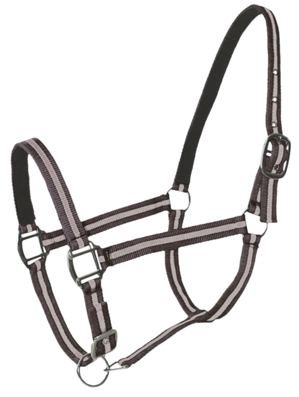 Licol Doublé Cuir Poney Choco Beige