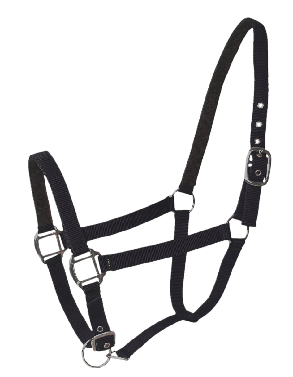 Licol double cuir poney noir x2