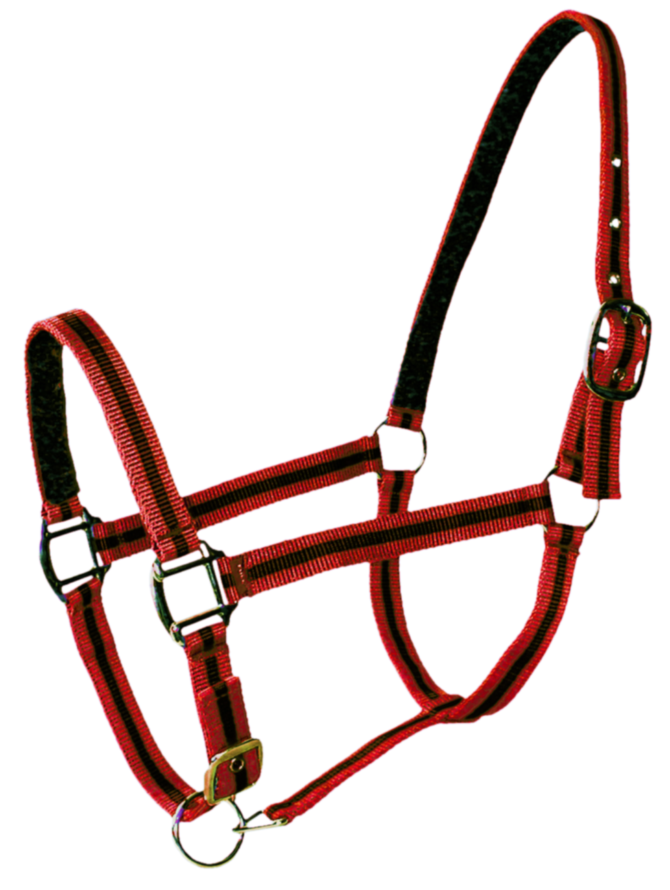 Licol Doublé Cuir Double Poney Rouge Noir