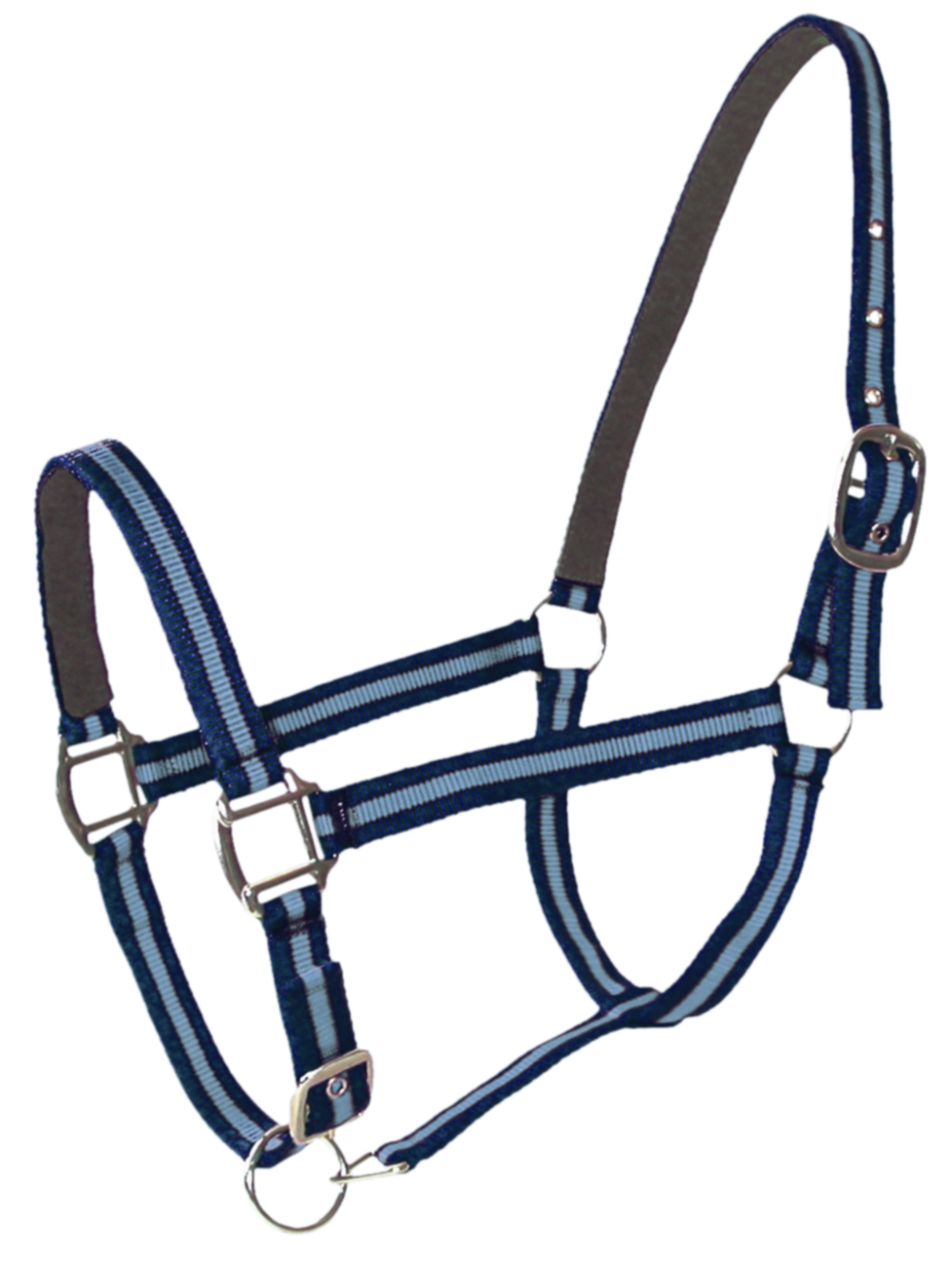 Licol Doublé Cuir Double Poney Navy Ciel