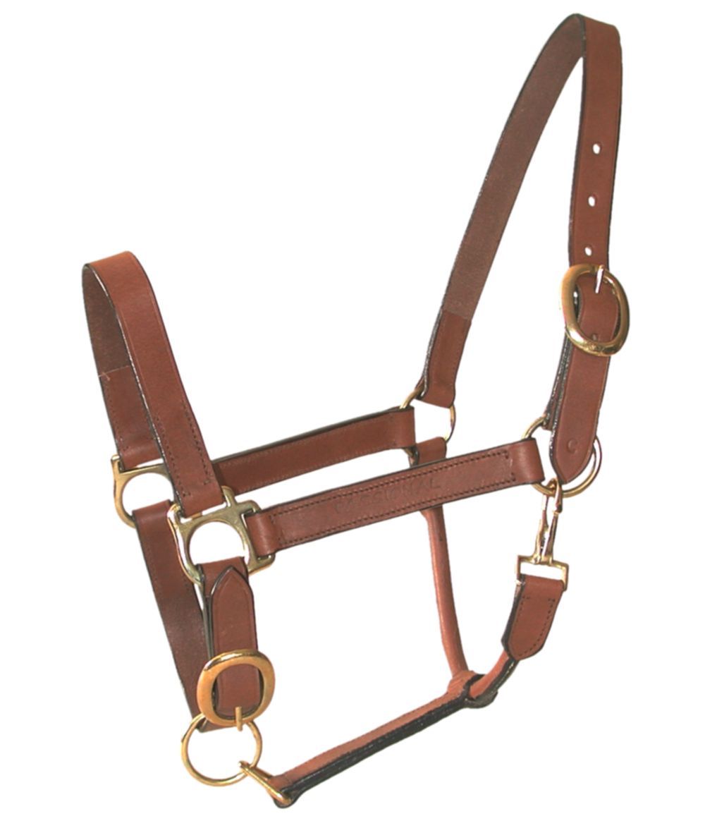 Licol Cuir Huile Double Poney Marron