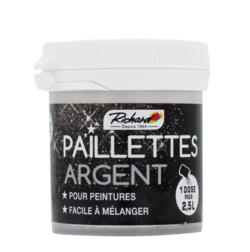 Additif paillettes peinture Argent 30gr                   