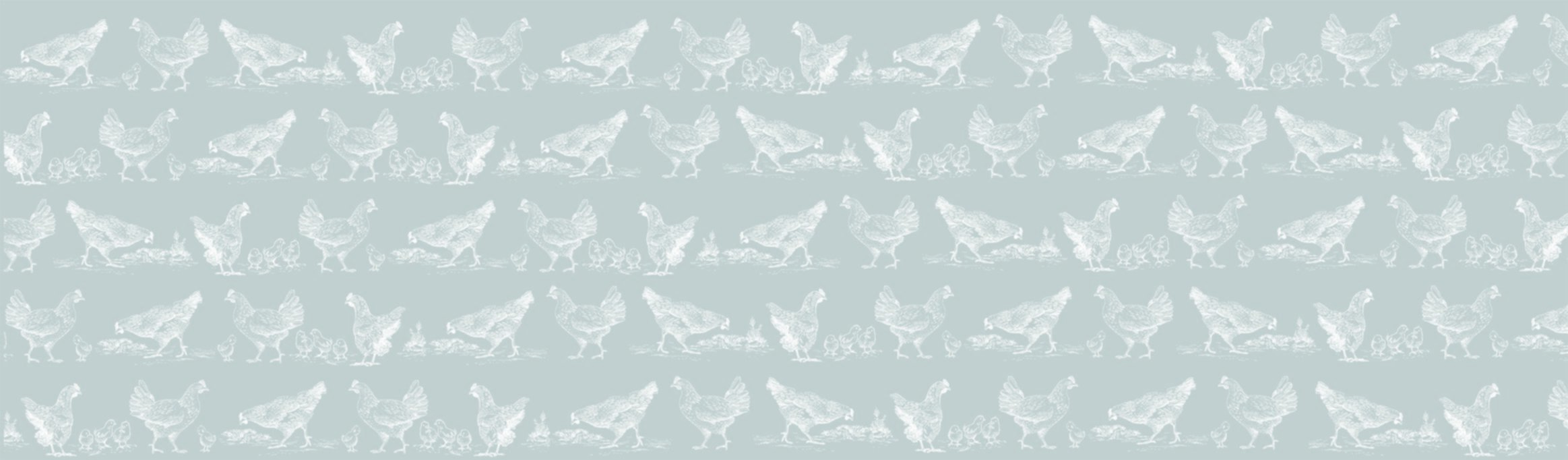 Nappe Poules gris Ø160cm - CORYL