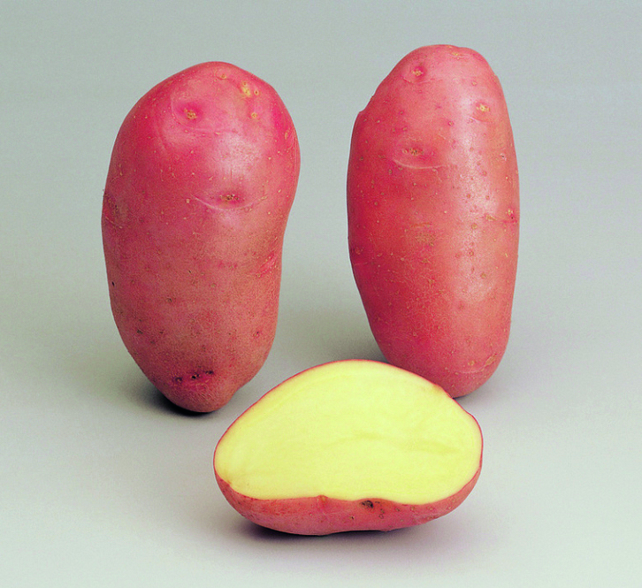 Pomme de terre rosabelle 25/35 3 kg 