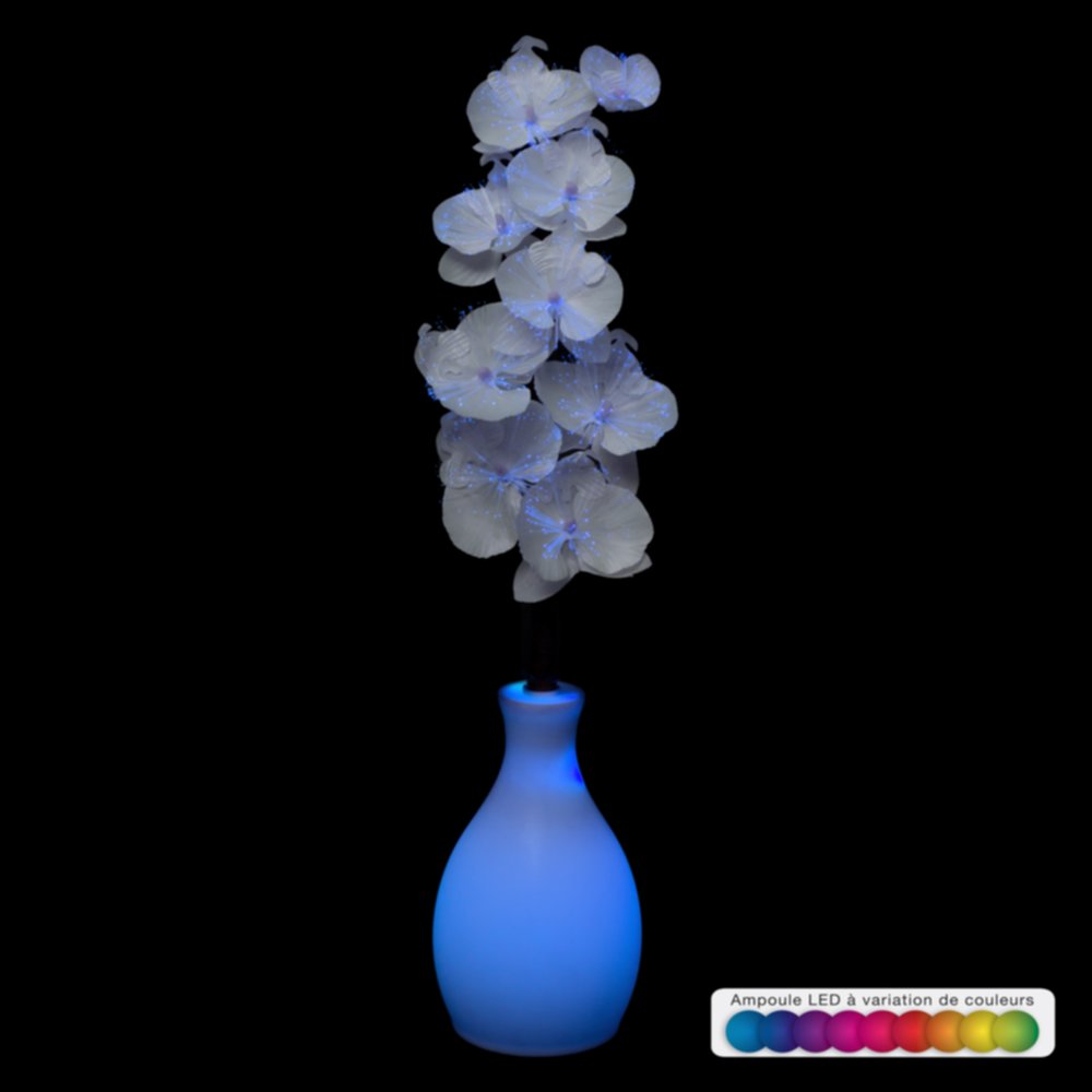 Orchidée + Vase Fibre Optique LED