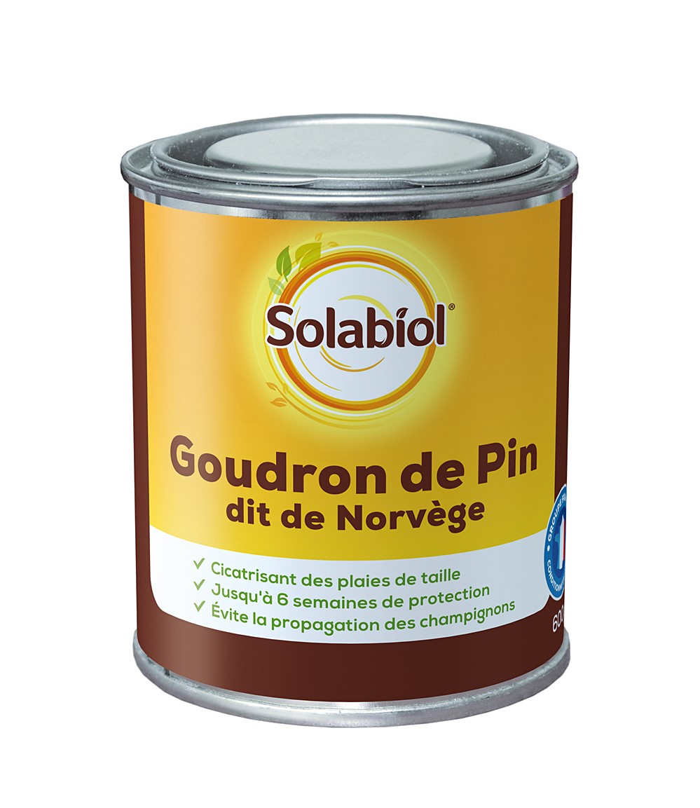 Goudron de pin dit de Norvège 600gr - SOLABIOL 