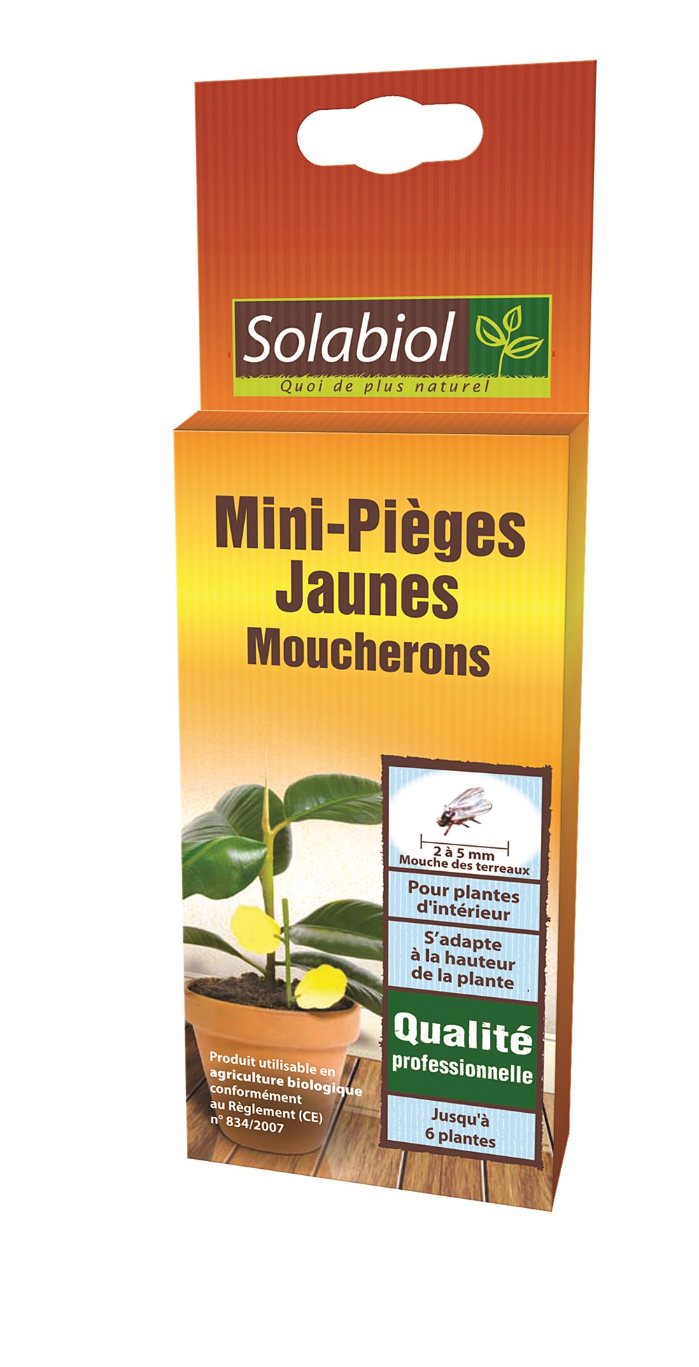 6 Mini-pièges jaunes moucherons - SOLABIOL 