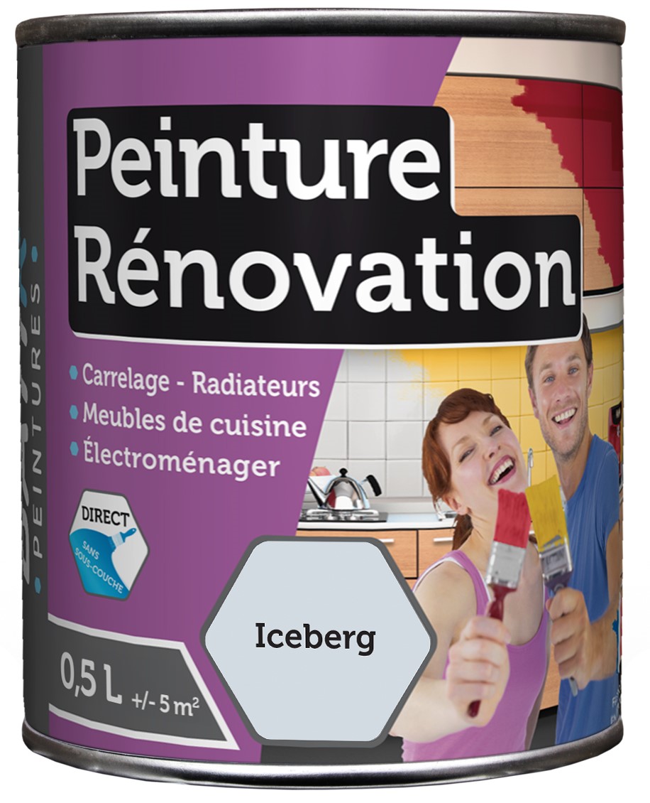 Peinture rénovation satin 0.5 l iceberg