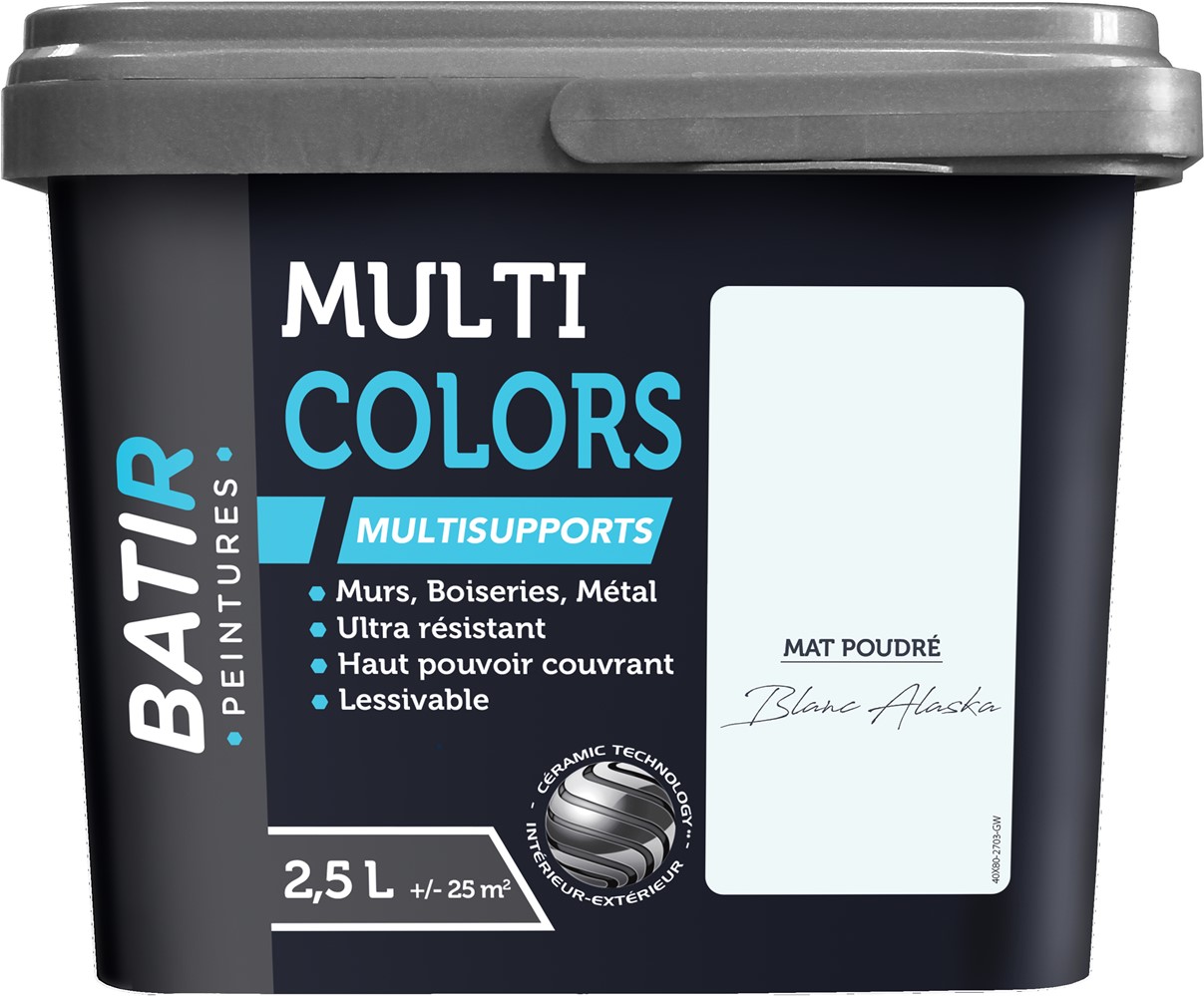 Peinture multi colors mat poudre 2.5 l blanc alaska